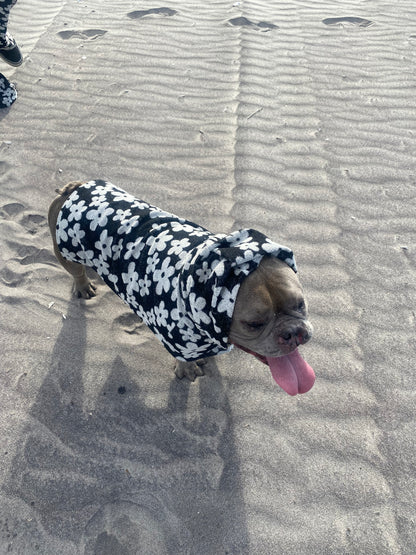 Puppy Poncho
