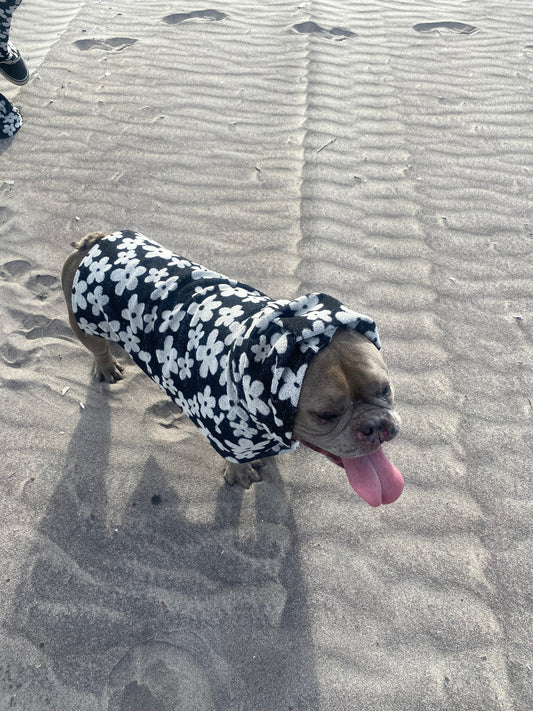 Puppy Poncho