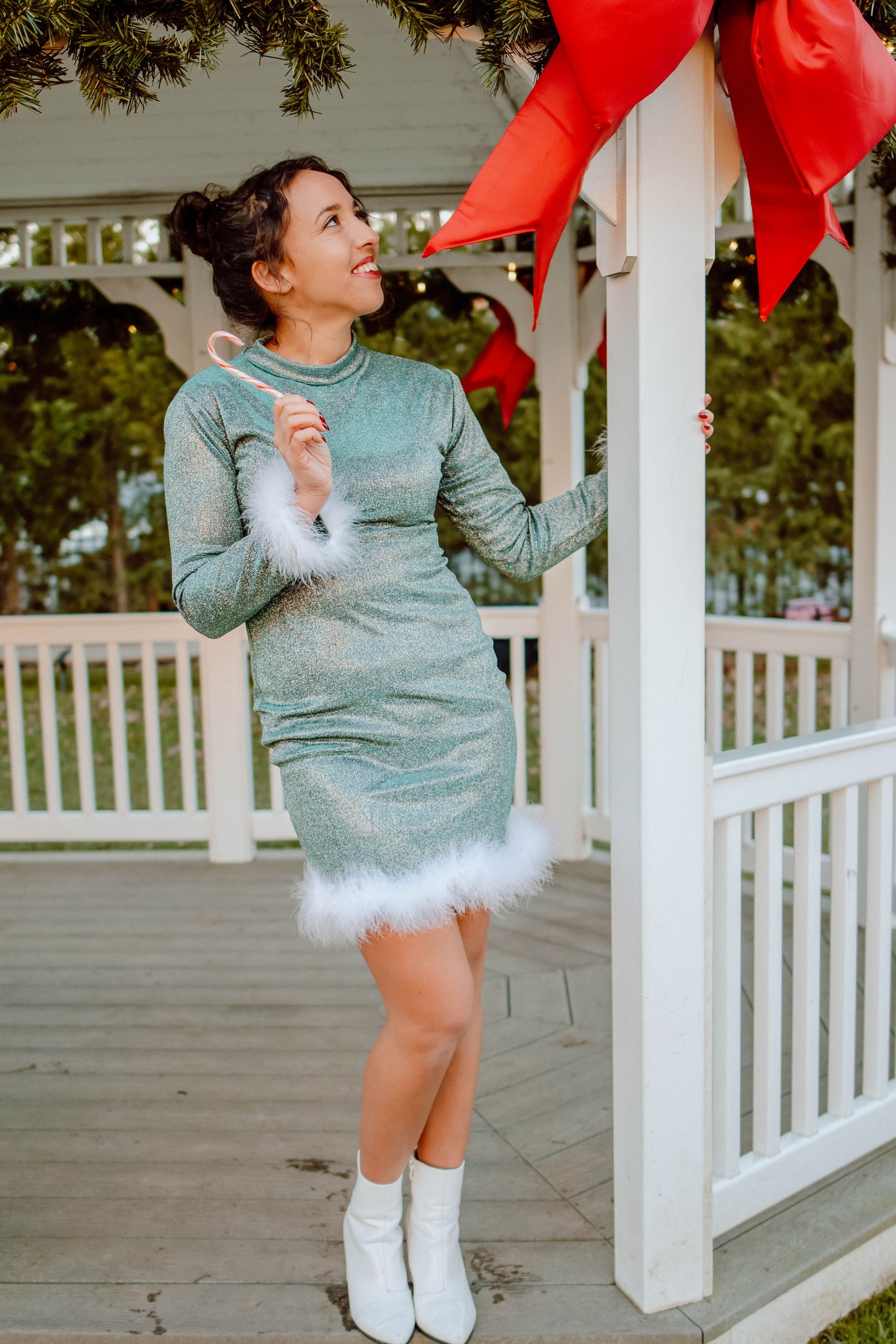 Holiday Cocktail Dress